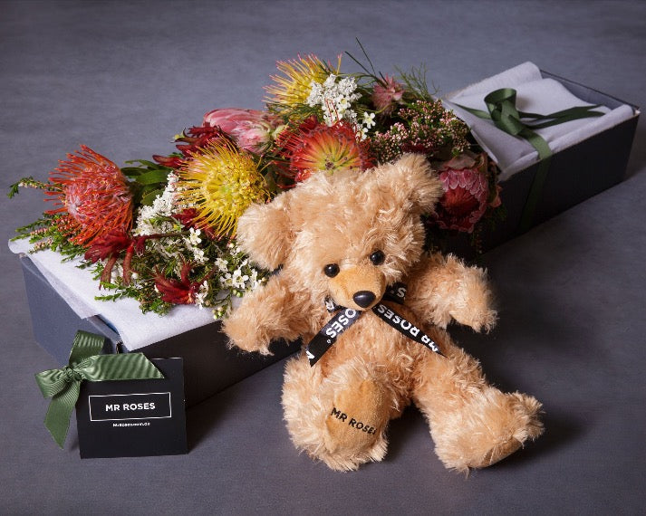 Natives & Teddy Bear