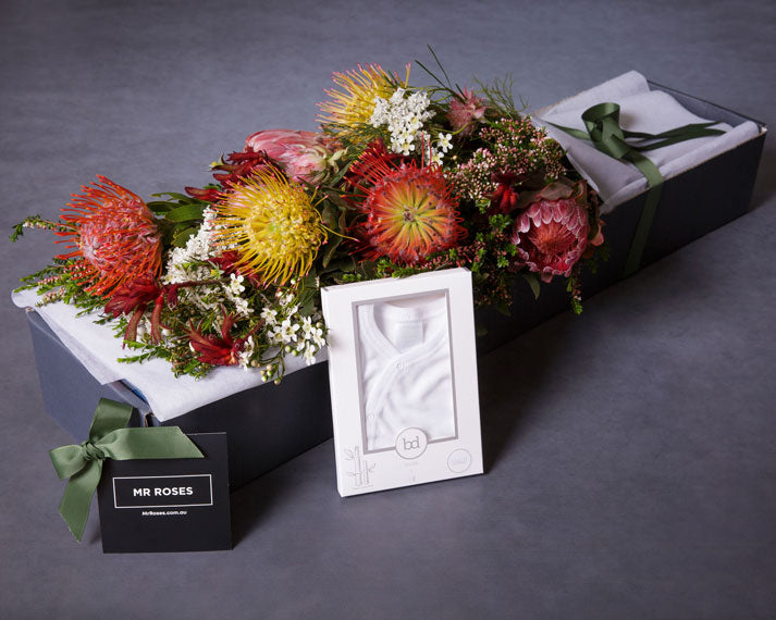 Natives & Newborn Baby Bodysuit