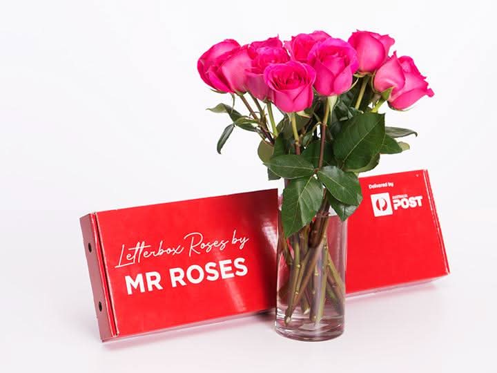 Subtle 6 Bright Pink Roses Gift Box
