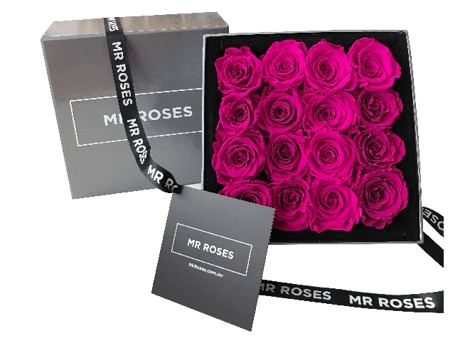 Pink Infinity Roses