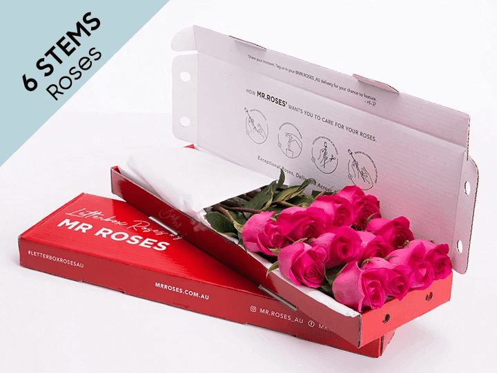 Subtle 6 Bright Pink Roses Gift Box