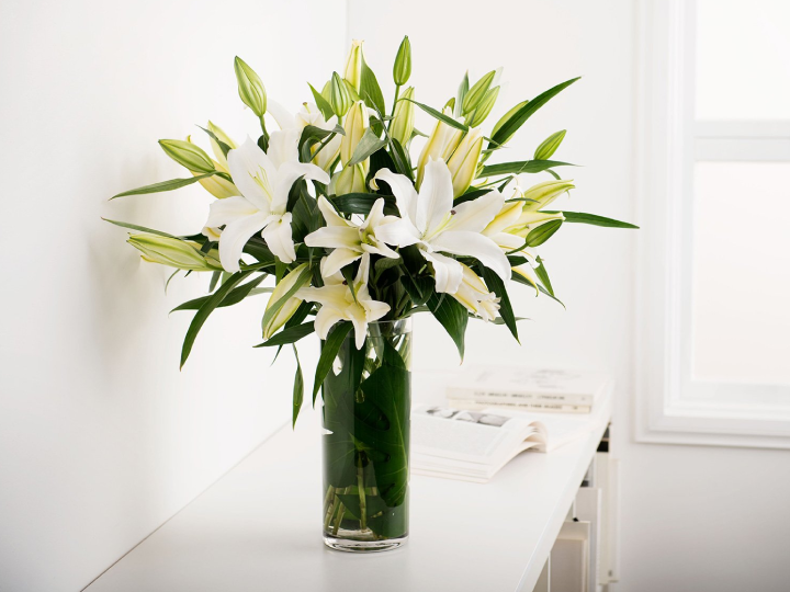 White Lilies (Box)