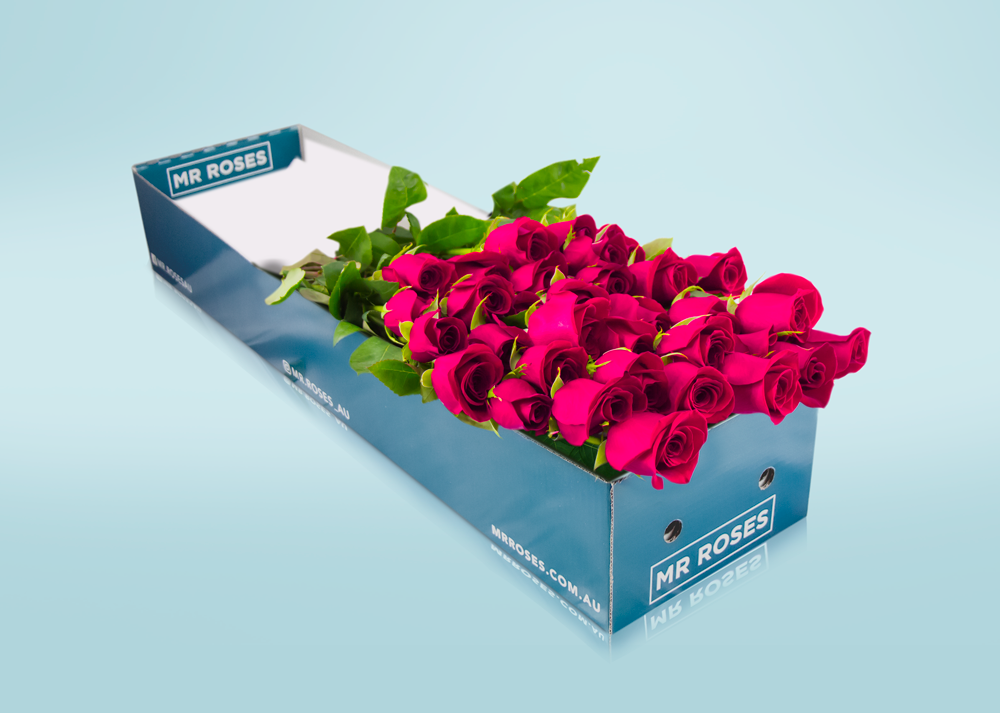 Long Stemmed Pink Roses with Vase (12 - 36 Flowers)