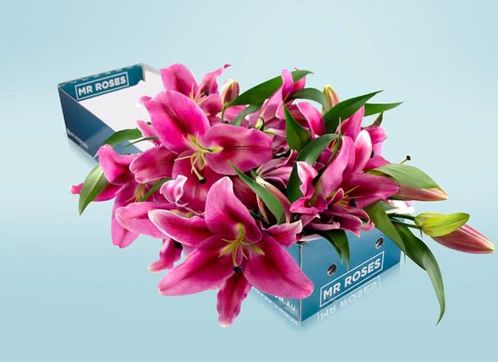 Pink Lilies & Champagne