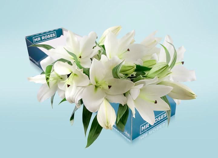 White Lilies & Adora Chocolate