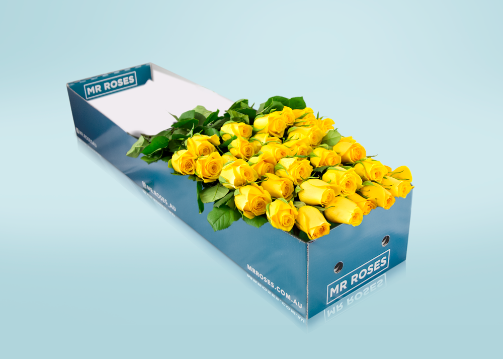 Long Stemmed Yellow Roses (12 - 36 Stems) & Teddy