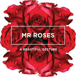 Mr Roses