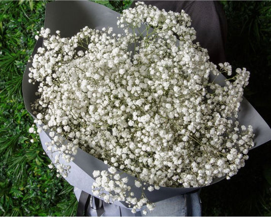 Baby's Breath Flower Bouquet