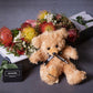 Natives & Teddy Bear