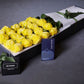 Yellow Roses & Chocolates