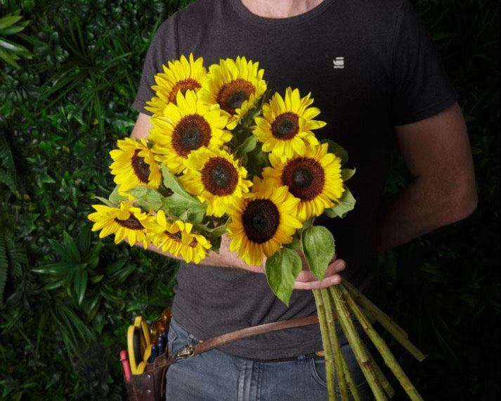 Sunflowers Special