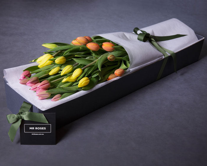 Member-Exclusive Terrific Tulips