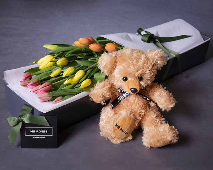 Tulips & Teddy Bear