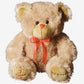 Romeo The Teddy