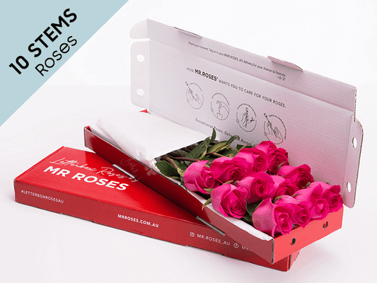 Elegant 10 Bright Pink Roses Gift Box