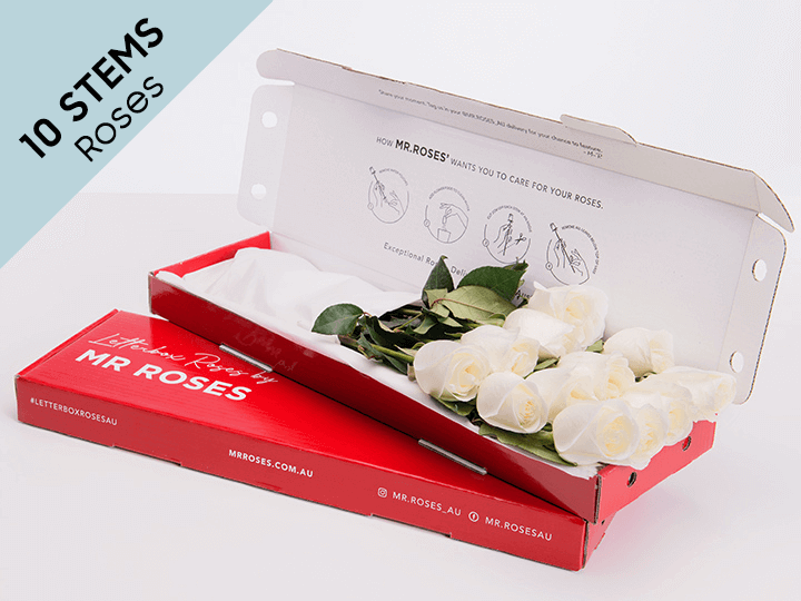 Elegant 10 White Cream Roses Gift Box