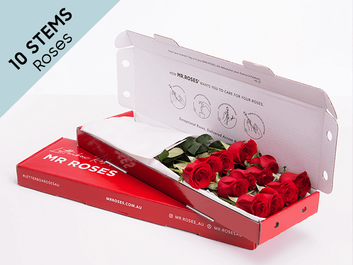 Elegant 10 Red Roses Gift Box