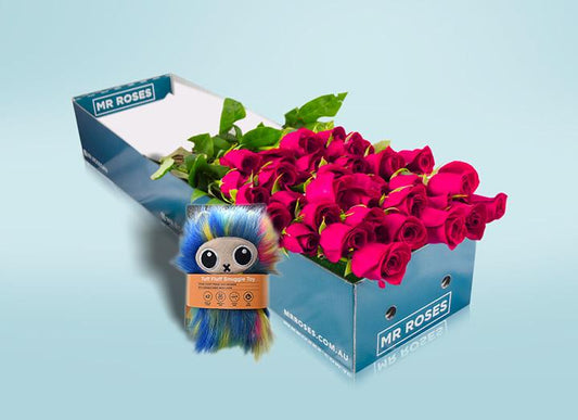 Long stemmed pink roses (12-36 Flowers) & Dog Toy