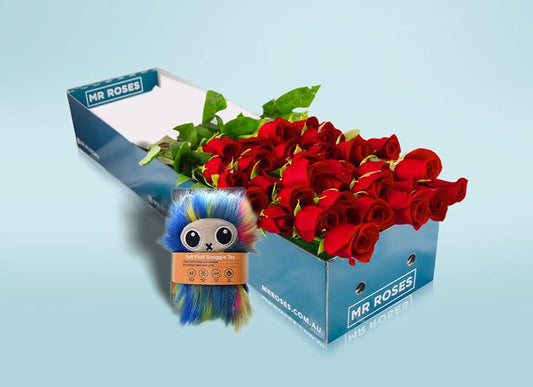 Long stemmed red roses (12-36 Flowers) & Dog Toy