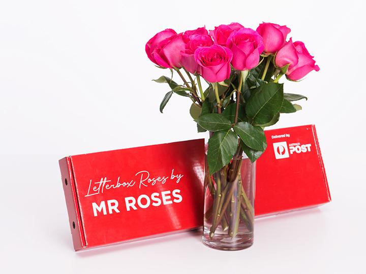 Elegant 10 Bright Pink Roses Gift Box