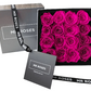 Pink Infinity Roses