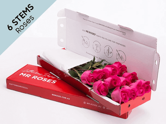 Subtle 6 Bright Pink Roses Gift Box