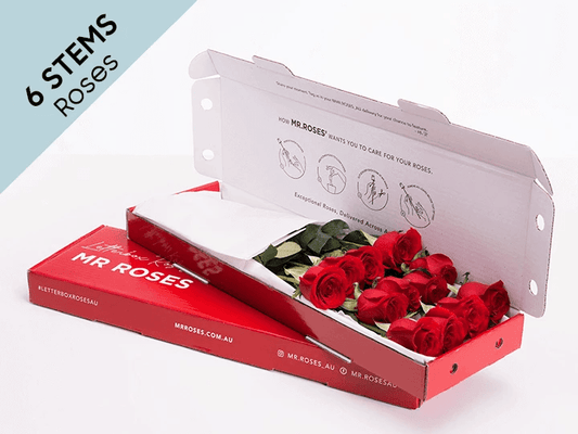 Subtle 6 Red Roses Gift Box