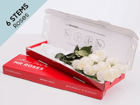 Subtle 6 White Cream Roses Gift Box