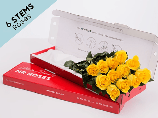 Subtle 6 Yellow Roses Gift Box