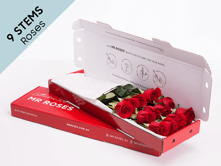 Loving 9 Red Roses Gift Box