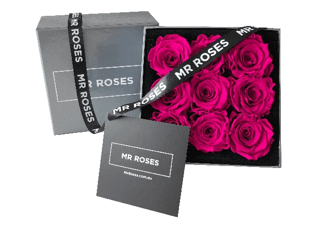 Pink Infinity Roses
