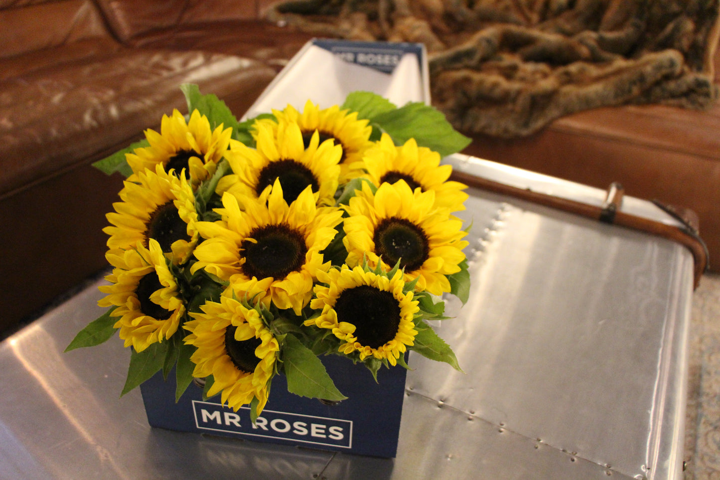 Sunflowers (Box)