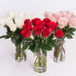 Elegant 10 White Cream Roses Gift Box