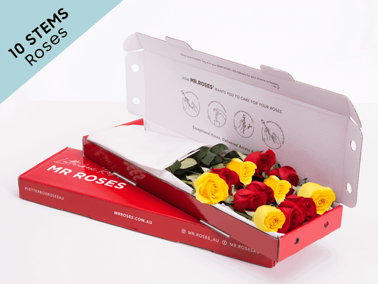 10 Red and Yellow Roses