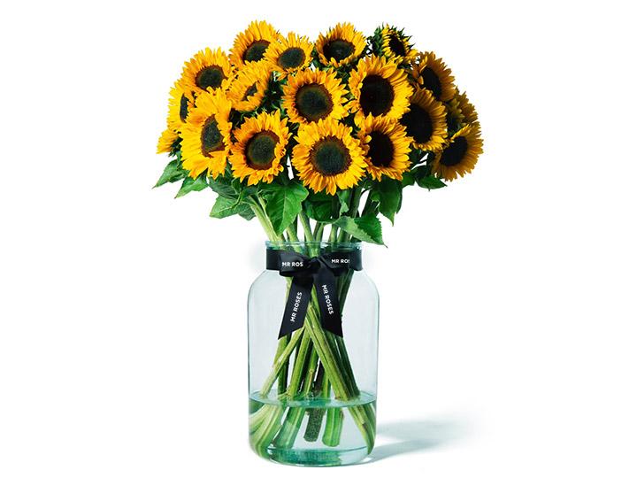 Sunflowers (Box)