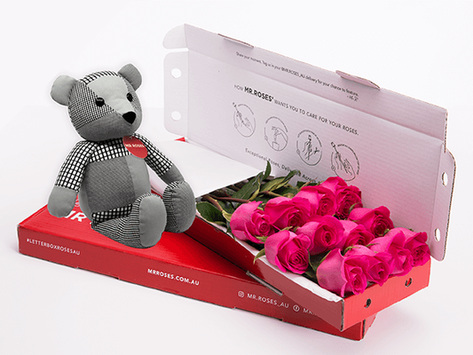 Bright Pink Roses & Teddy Bear (6 - 12 Stems)