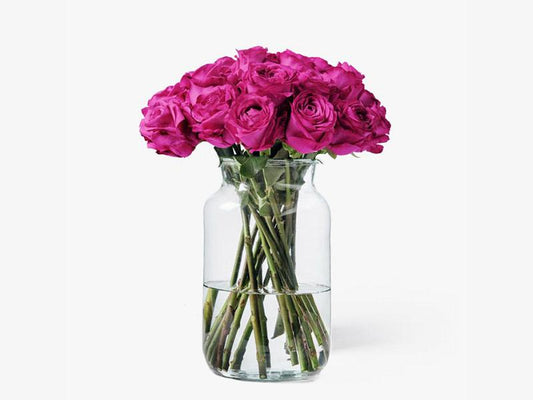 Magnificent Short Stem Bright Pink Roses (24 - 50 stems)