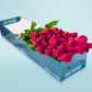 LONG STEMMED BRIGHT PINK ROSES (12 - 36 FLOWERS)