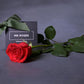 Mother's Day Flowers - Red Roses - Single Long Stem