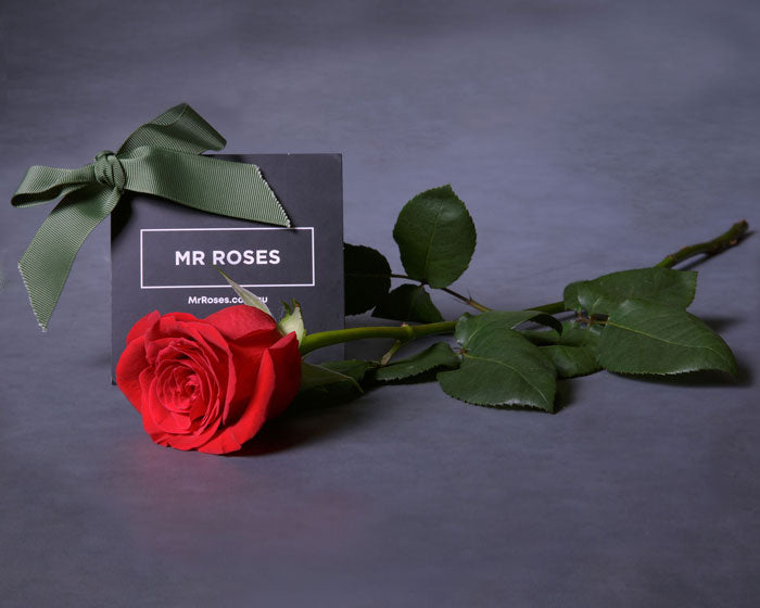 Mother's Day Flowers - Red Roses - Single Long Stem