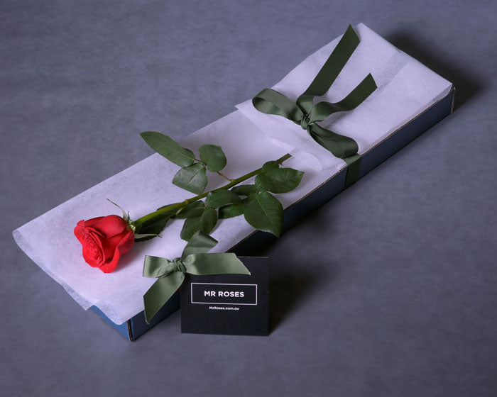 Mother's Day Flowers - Red Roses - Single Long Stem