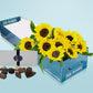 Sunflowers and Adora Chocolate