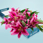 Pink Lilies & Teddy