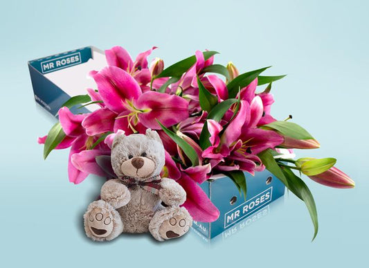 Pink Lilies & Teddy