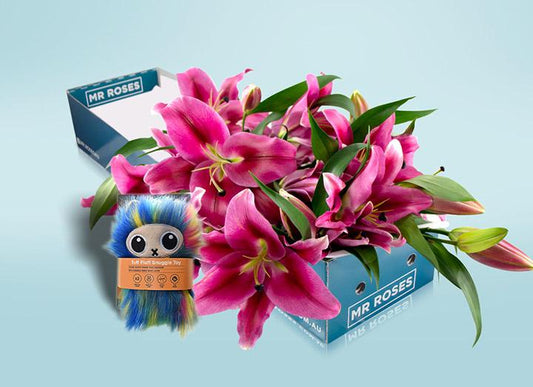 Pink Lilies & Dog Toy