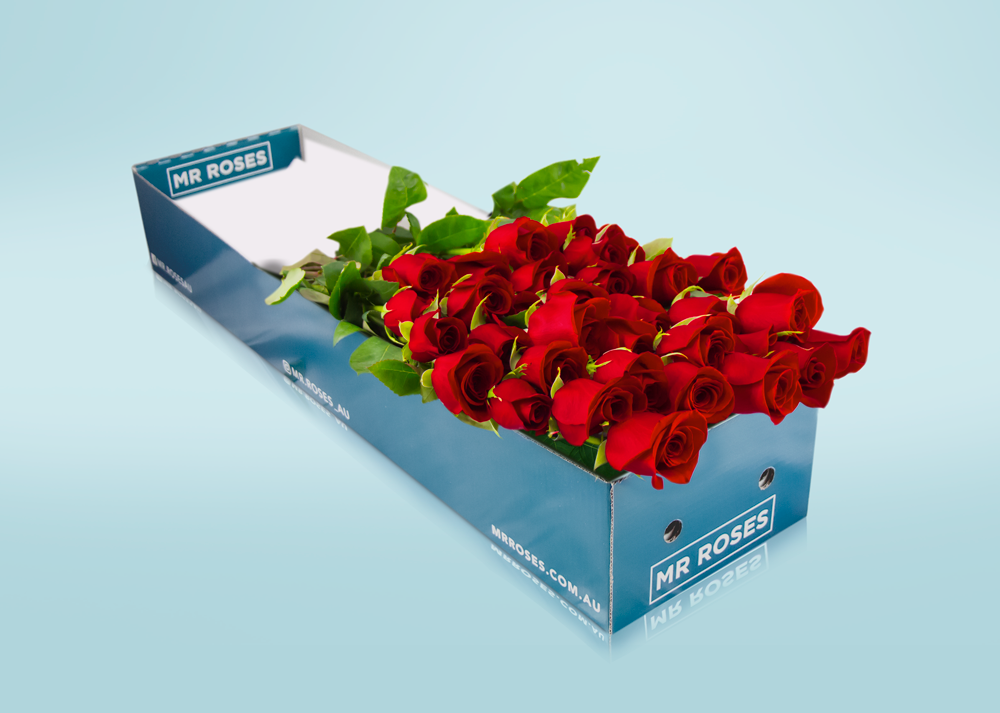 Long Stemmed Red Roses with Vase (12 - 36 Flowers)