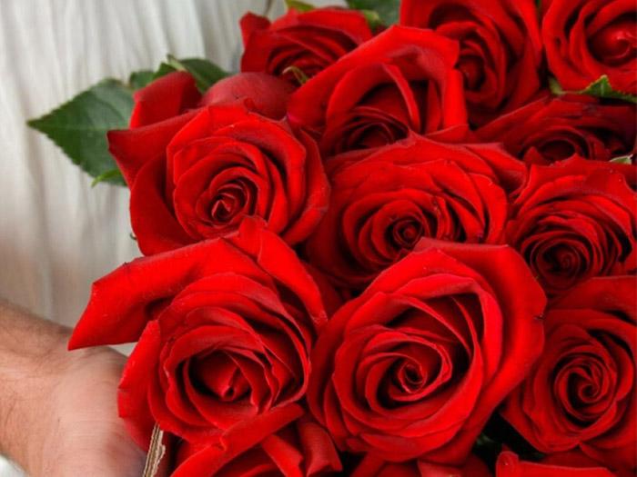 Red Roses (16 - 21 Medium Stems)