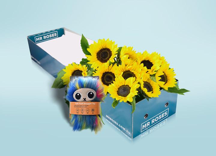 Sunflowers & Dog Toy