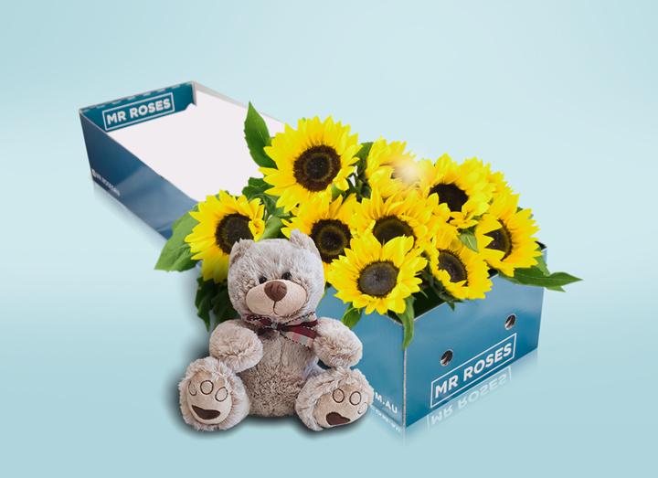 Sunflowers & Baily Teddy Bear