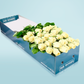 Long Stemmed White Cream Roses with Vase (12 - 36 Flowers)